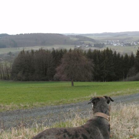 Villa Funny-Farm Sassen Esterno foto