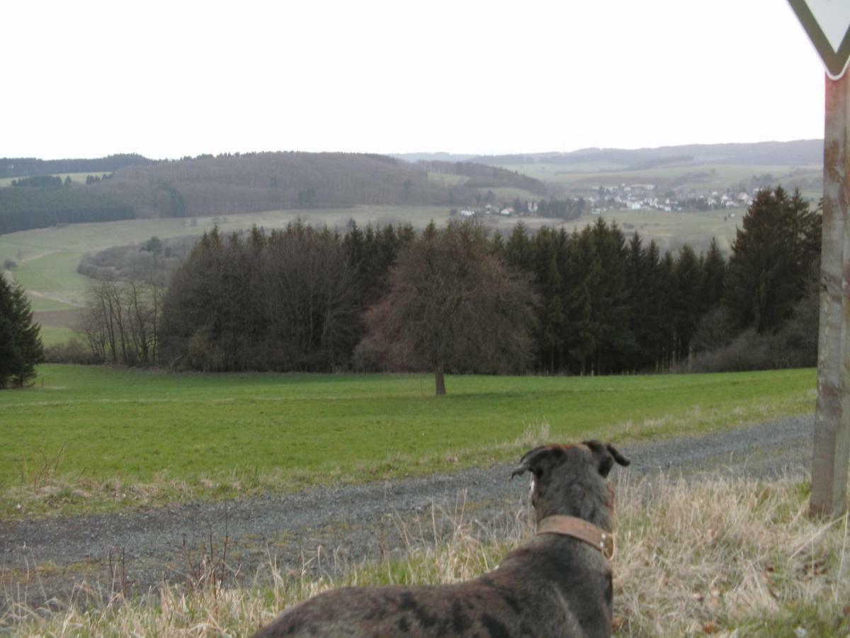 Villa Funny-Farm Sassen Esterno foto