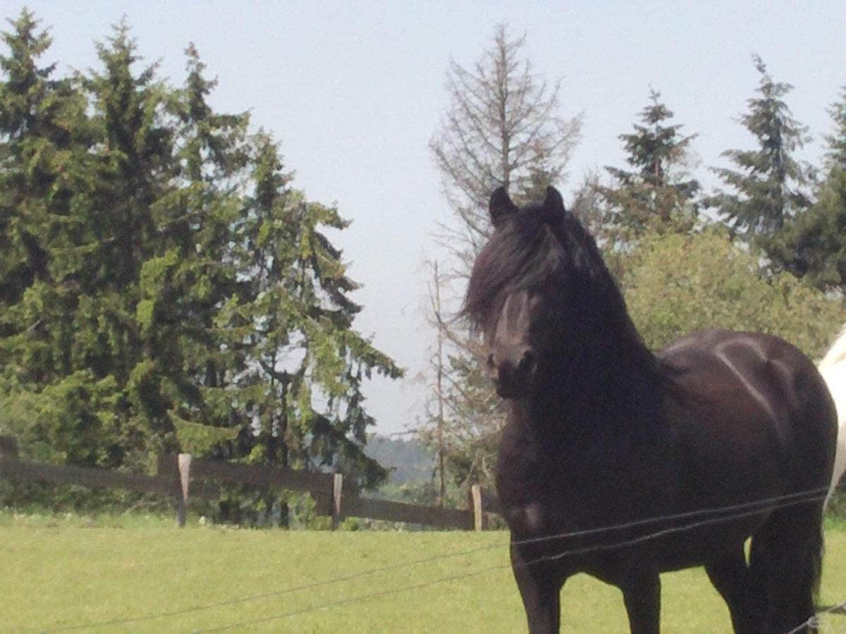 Villa Funny-Farm Sassen Esterno foto