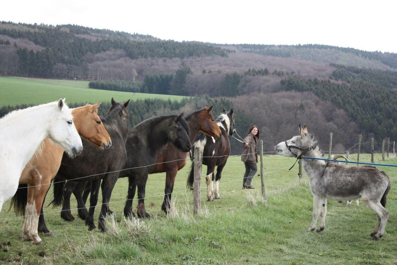 Villa Funny-Farm Sassen Esterno foto