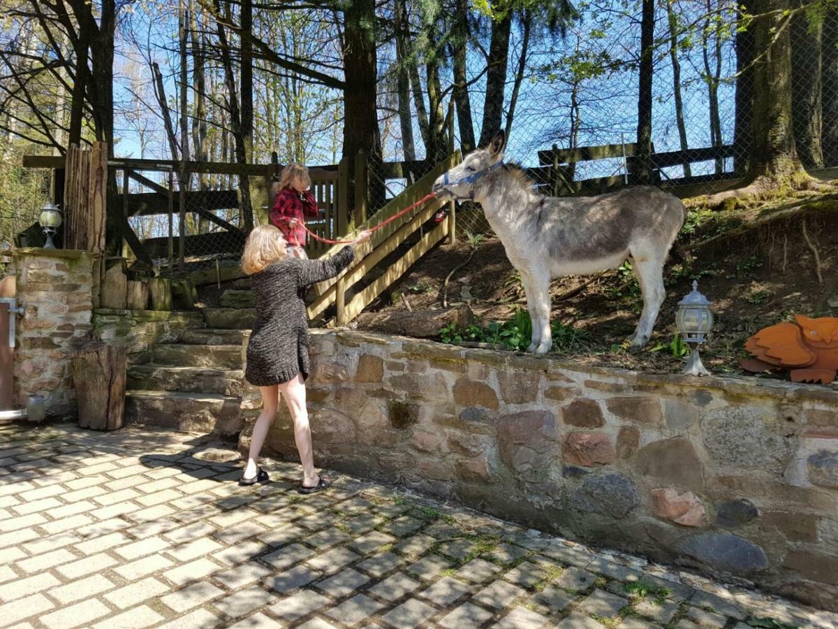 Villa Funny-Farm Sassen Esterno foto