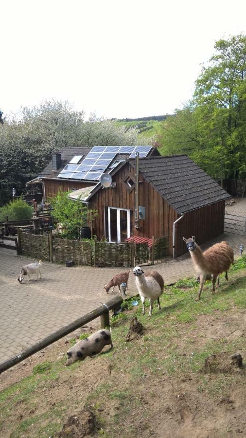 Villa Funny-Farm Sassen Esterno foto
